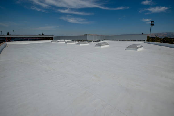 Best Roof Ventilation Installation  in Carnation, WA