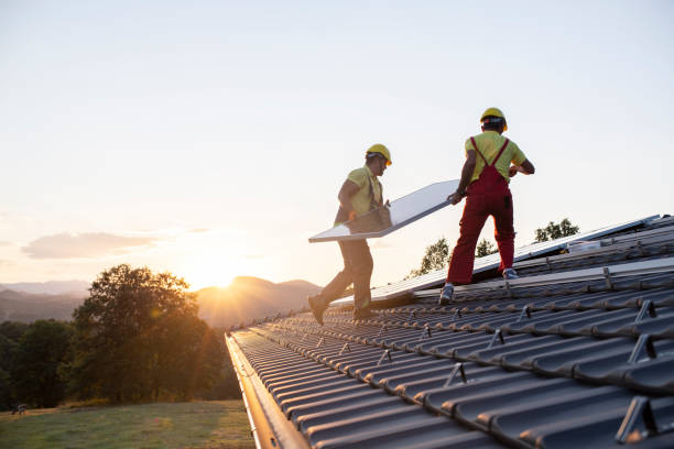 Best Gutter Installation and Repair  in Carnation, WA